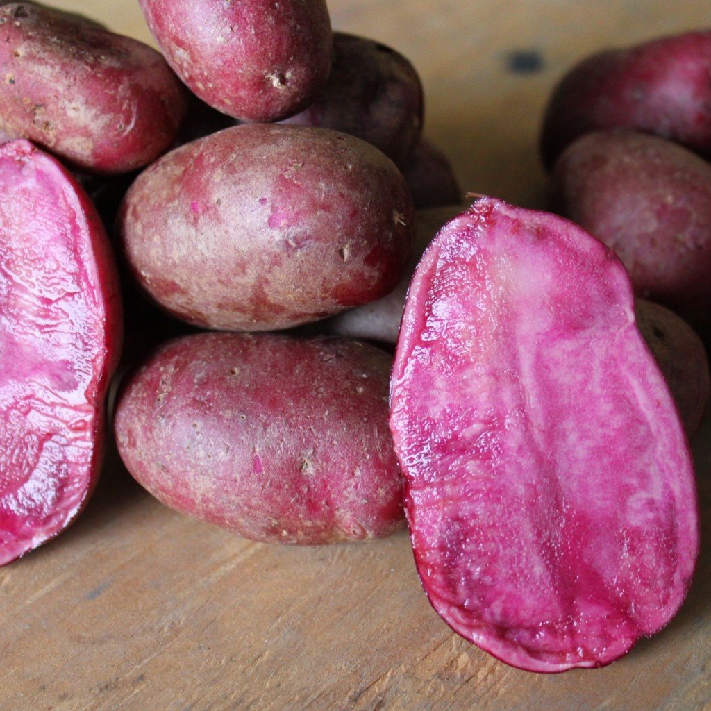 Adirondack Red Potatoes