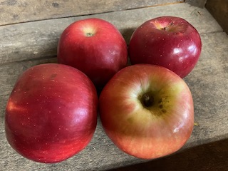 Northern Spy Apples