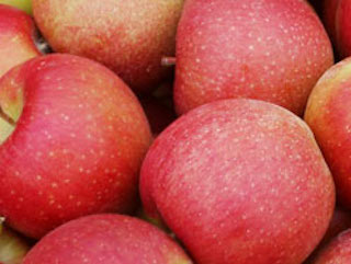 Ludacrisp Apples