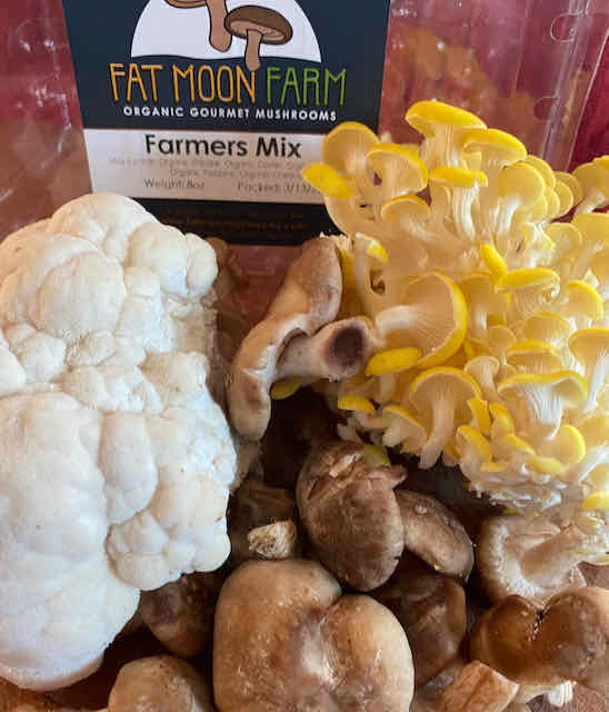 Farmers Mix Mushrooms