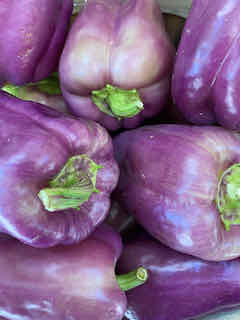 Purple Bell Peppers