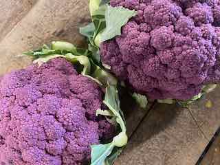 Purple Cauliflower