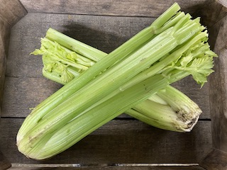 Field-Cut Celery